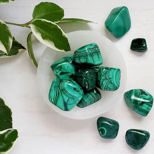 Malachite Genuine Tumbled Stone - Solar Plexus, Heart Chakra Stone - Capricorn, Scorpio Stone - Prosperity Creativity Travel, Healing Stone