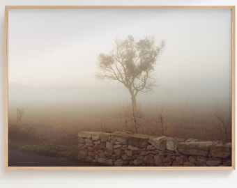Misty Tree Photo Print | Pastel Foggy Landscape (Digital Download)