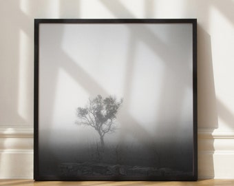 May include: A black and white photograph of a solitary tree in a misty field. The tree is silhouetted against the white mist, and the light is coming from the left side of the image.