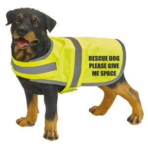 May include: A black dog wearing a yellow safety vest with the text "RESCUE DOG PLEASE GIVE ME SPACE".