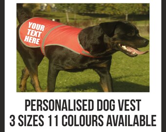 dog security vest