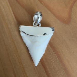 Könnte beinhalten: Ein Anhänger mit einem Haifischzahn und einer silbernen Öse. Der Zahn ist weiß, dreieckig und hat gezahnte Kanten. Die silberne Öse ist oben am Zahn befestigt. Der Anhänger wird auf einer Holzoberfläche präsentiert.