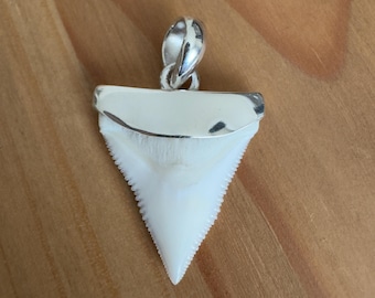 May include: A shark tooth pendant with a silver bail. The tooth is white with a triangular shape and serrated edges. The silver bail is attached to the top of the tooth. The pendant is displayed on a wooden surface.