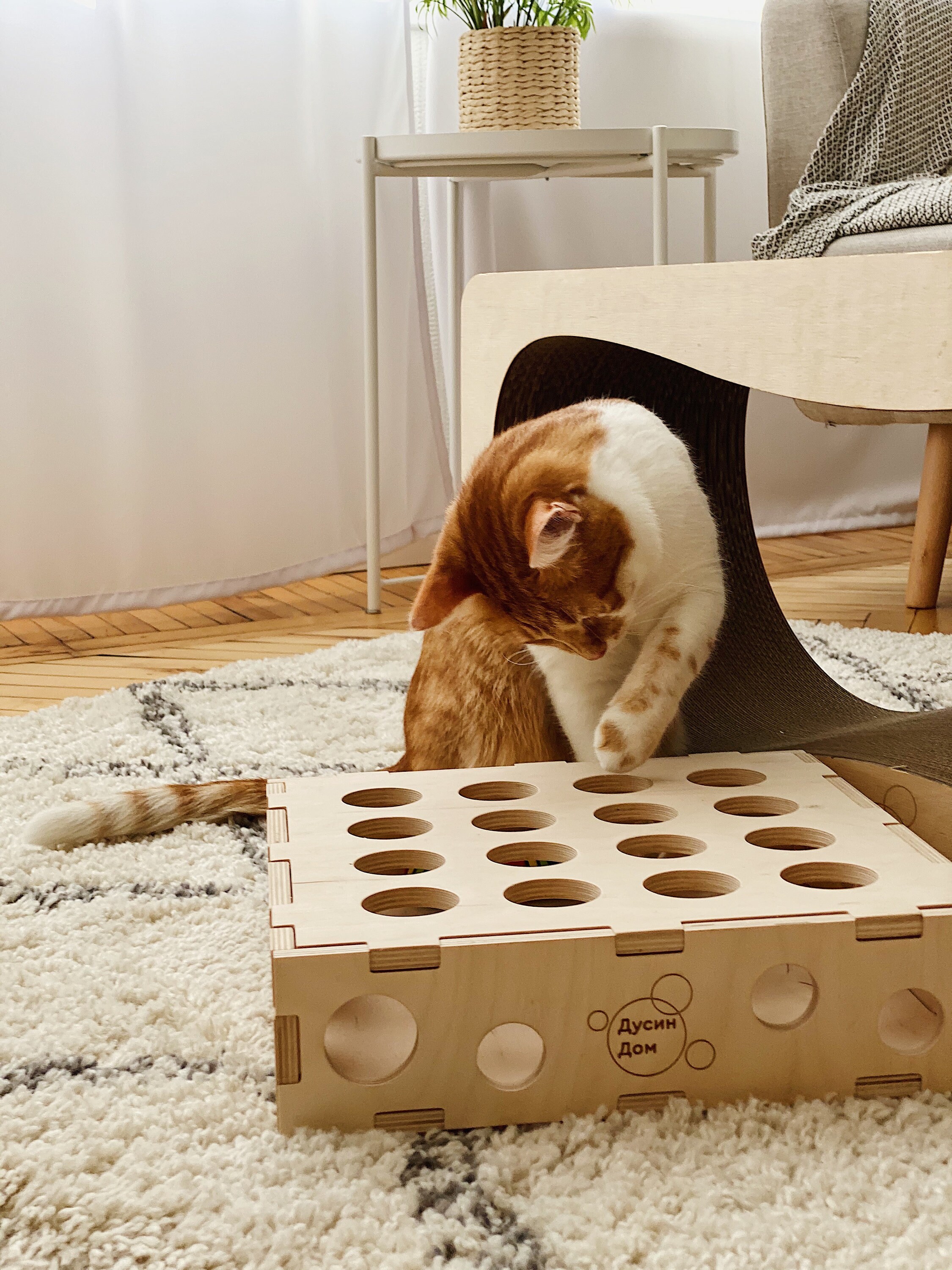 Toys for Cats CHEESE Cat Toy Cat Kicker Toy Wooden Box with Etsy