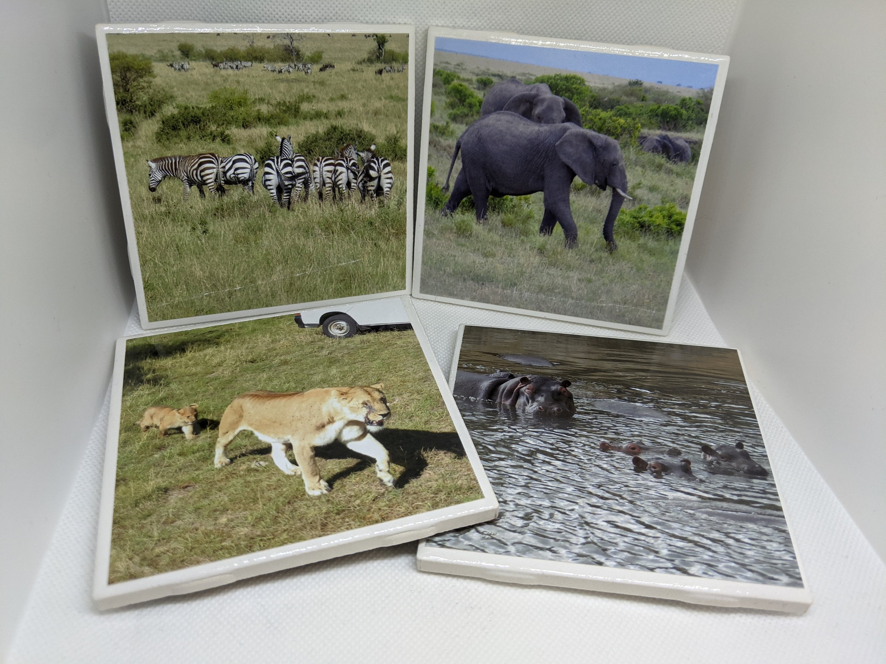 Adventure Coasters Kenya Safari V Etsy Italia