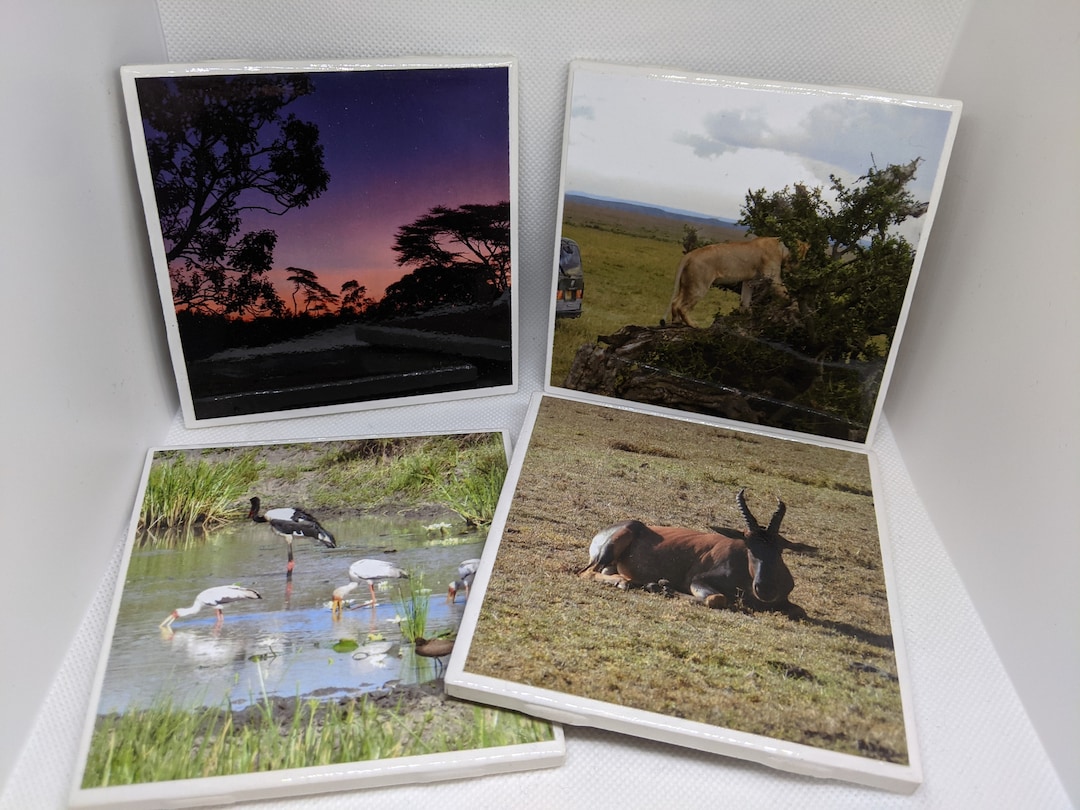 Adventure Coasters Kenya Safari II Etsy España