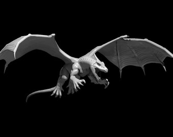 White Dragon Wyrmling
