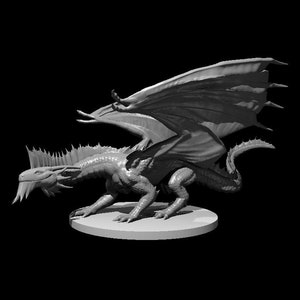 Young Silver Dragon