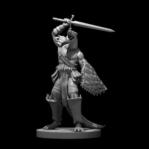 White Half Dragon Warrior