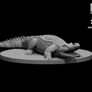 Crocodile, Medium