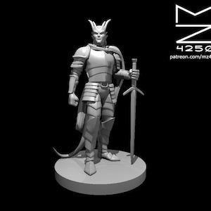 Tiefling Male Paladin 2