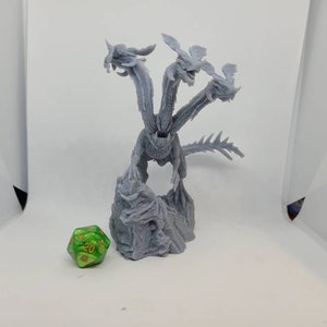 Hydra
