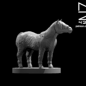 Pony