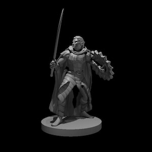 Drow Elite Warrior