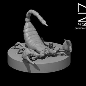 Scorpion