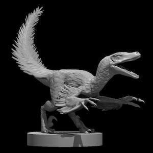 Velociraptor, Medium