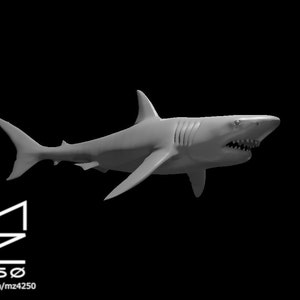 Giant Shark