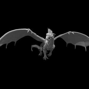 Young Silver Dragon