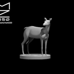 Deer