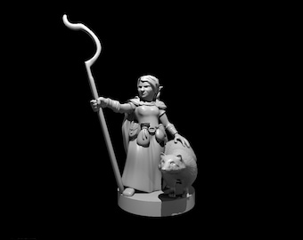 Female Gnome Druid