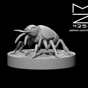 Giant Fire Beetle