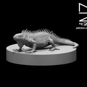 Lizard