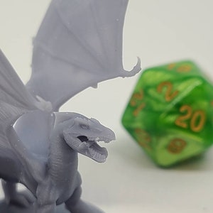 White Dragon Wyrmling