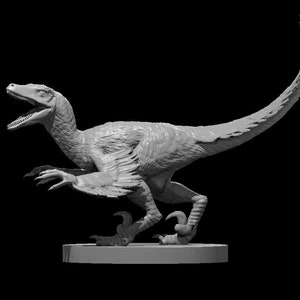 Feathered Deinonychus, Large