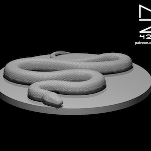 Constrictor Snake
