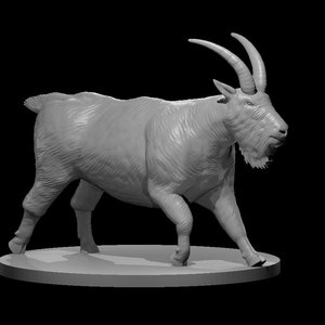 Giant Mountain Goat