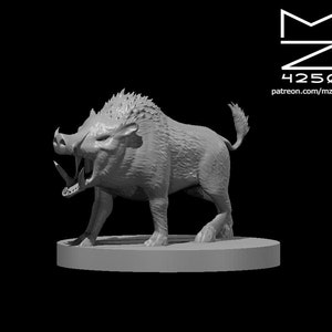 Boar, Small