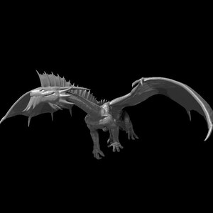 Silver Dragon Wyrmling