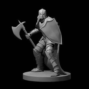 Human Male Fighter Axe and Shield