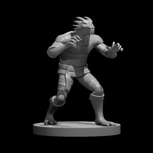Dragonborn Male Monk 2