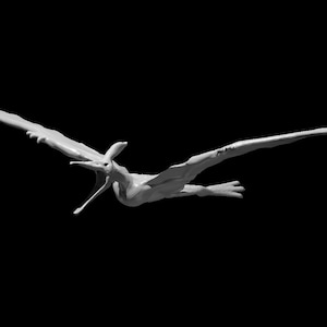 Pteranodon