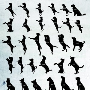 May include: A chart with black silhouettes of 20 different dog breeds, labeled with numbers D62 through D91. The chart is on a white background with a light gray texture.