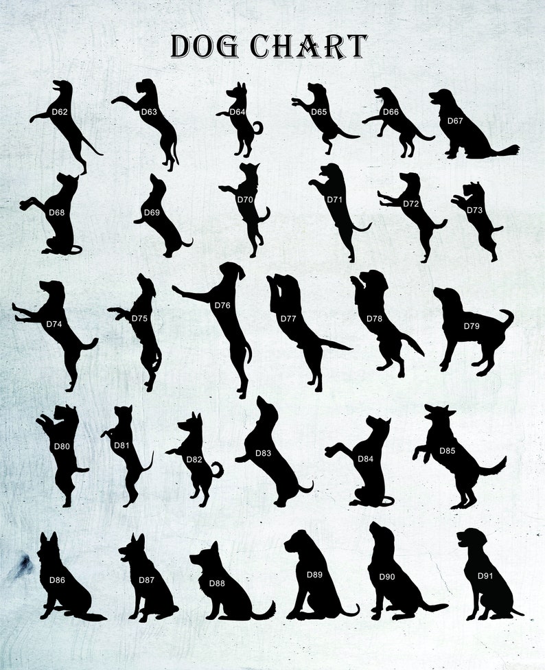 May include: A chart with black silhouettes of 20 different dog breeds, labeled with numbers D62 through D91. The chart is on a white background with a light gray texture.