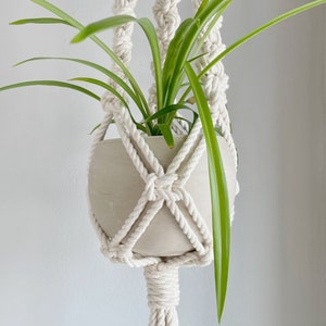 May include: A white macrame plant hanger with a white ceramic pot and a green plant inside. The hanger has a long tassel at the bottom.