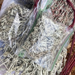 Dakota Prairie Sage (cleaned)