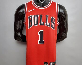derrick rose dog jersey