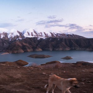 Può includere: Un paesaggio panoramico con un lago circondato da montagne. Le cime delle montagne sono coperte di neve. Un cane cammina in primo piano. Il cielo è un mix di blu e bianco.