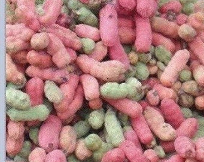 Fresh Pepper Fruit Seeds / Mmimi ,3oz Etsy