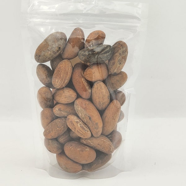 Emmivans Bitter Kola Nut 5oz