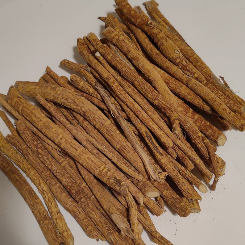 African Chewing Stick Etsy