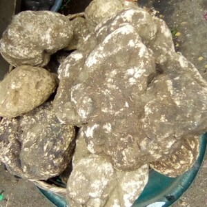 Ground Osu: Egusi Soup Thickener & Flavor