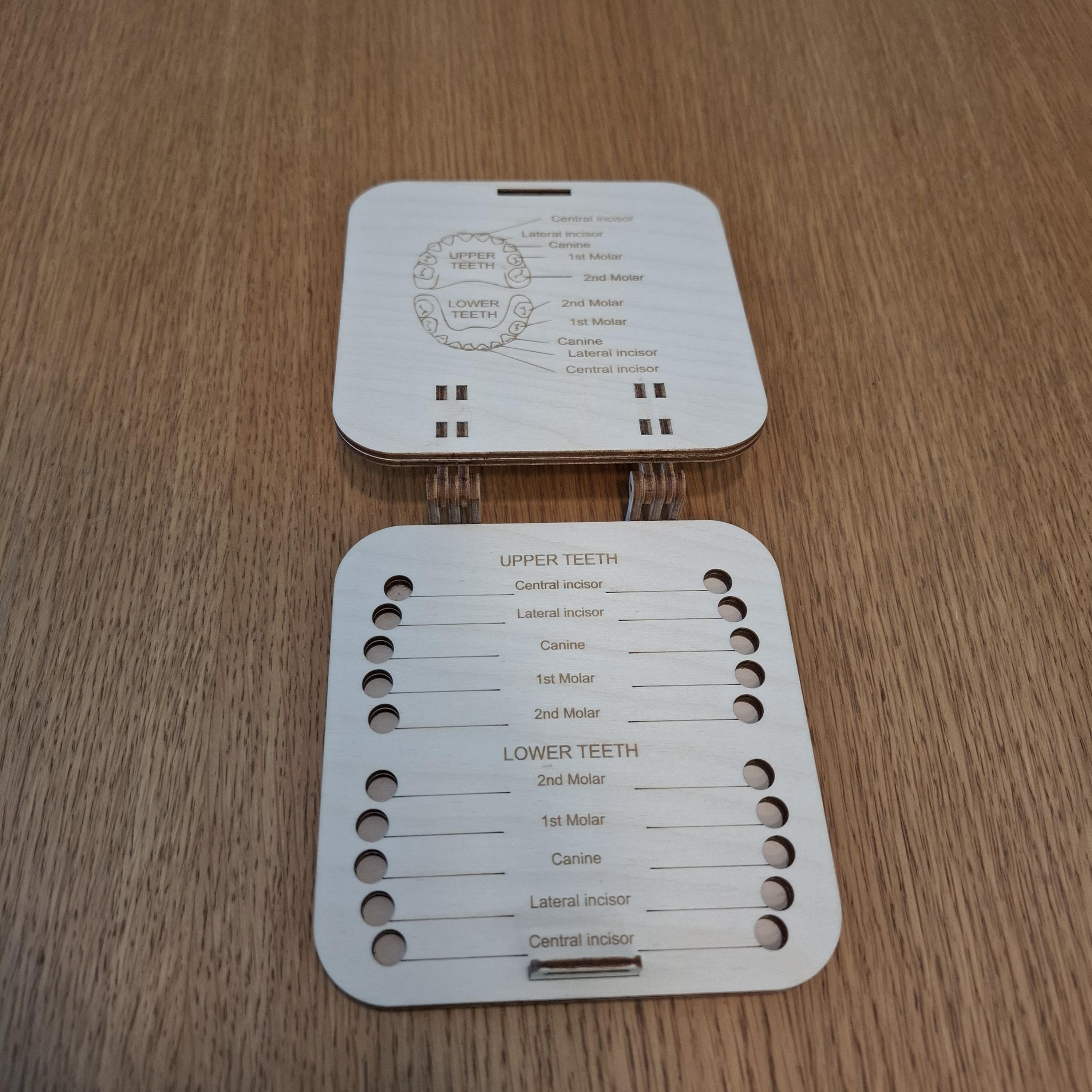 Laser Cut Tooth Box SVG Template, Wooden Keepsake (digital Download ...