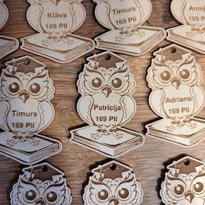Llavero de medalla personalizado Wise Owl cortado con láser SVG Adecuado para un estudiante preescolar DXF Fin del año escolar, jardín de infantes Búho de conocimiento