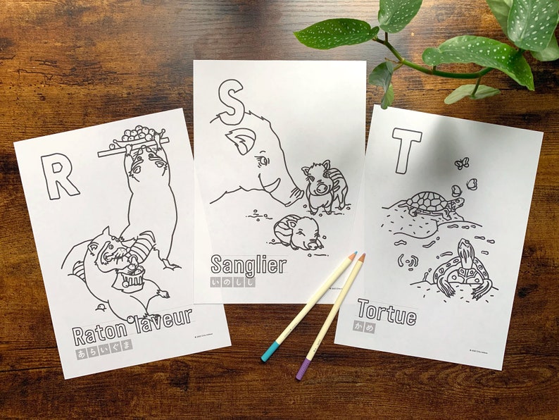 FRANCO-JAPANESE Alphabet Coloring Book, Wild Animals Coloring ...