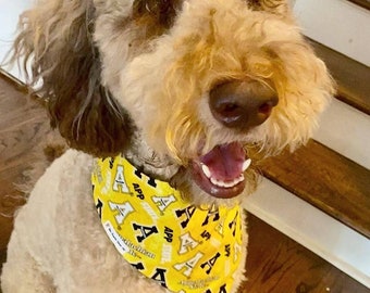 App State - Dog bandana & accessories