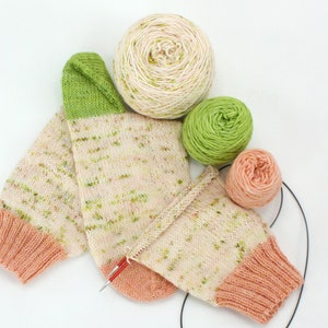 Wildflower Sock Set--Hand-dyed yarn, fingering yarn